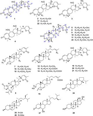 Xuetonglactones A–F: Highly Oxidized Lanostane and Cycloartane Triterpenoids From Kadsura heteroclita Roxb. Craib.